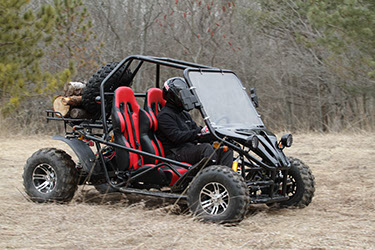 Daymak Dunebuggy 3000